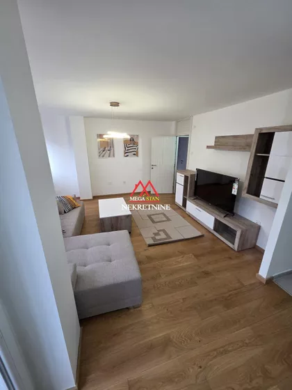 Dr Ivana Ribara | 4zida.rs