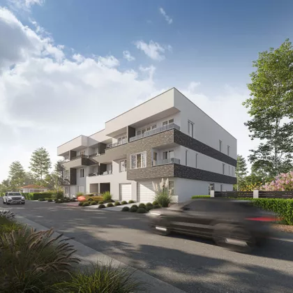 Živana Milisavca | 4zida.rs