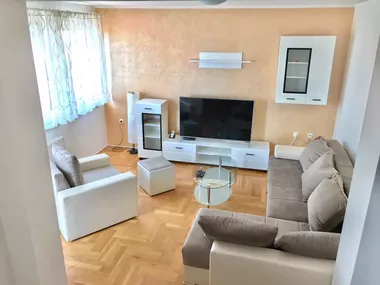 Dr Svetislava Kasapinovića