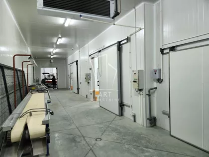 Draževačka | 4zida.rs