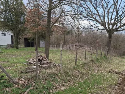 Kolubarska | 4zida.rs