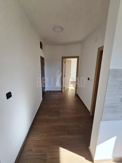 Belog narcisa | 4zida.rs