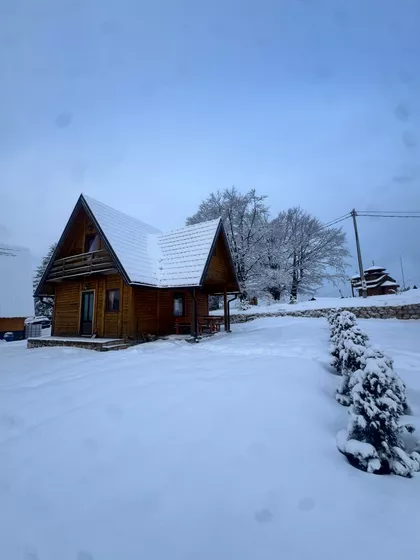 Isidore Sekulić | 4zida.rs