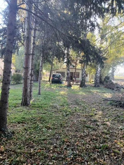 Bavaništanski put | 4zida.rs