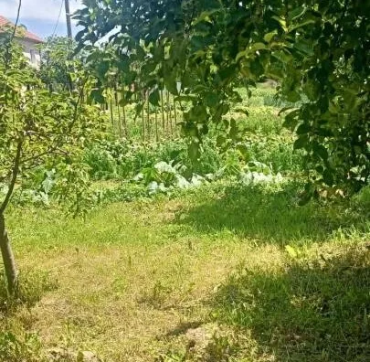 Plac | 4zida