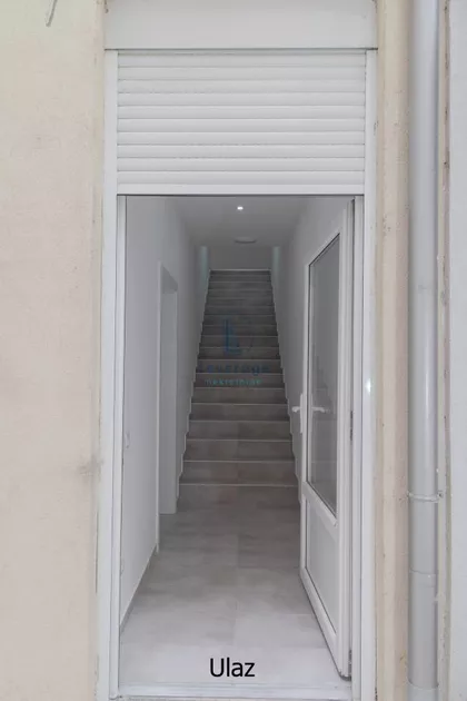 Cara Dušana | 4zida.rs