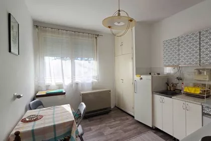 Dr Nika Miljanića | 4zida.rs