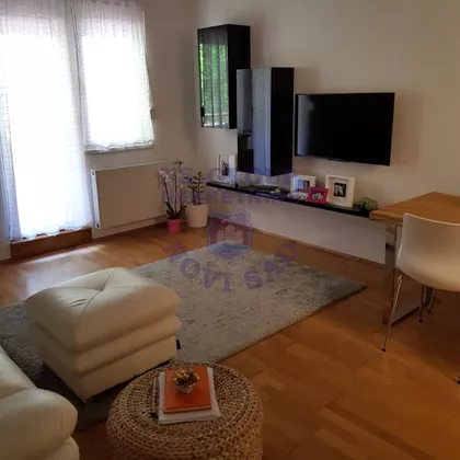 Novi Sad - Centar | 4zida.rs