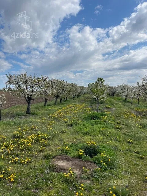 Poljoprivredno zemljište | 4zida
