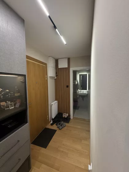 Cara Dušana | 4zida.rs