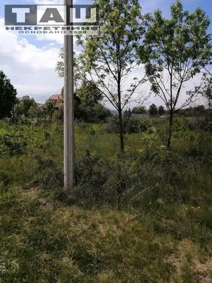 Cerovac | 4zida.rs