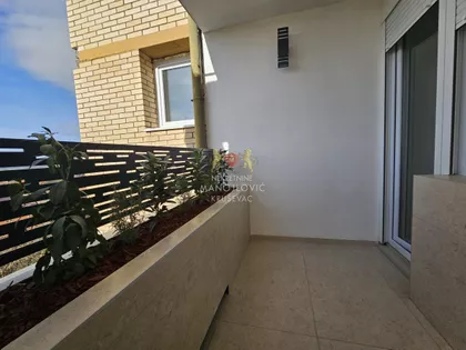 Ujedinjene Nacije | 4zida.rs