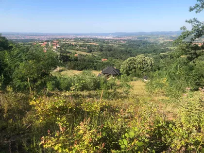 Vinjište | 4zida.rs