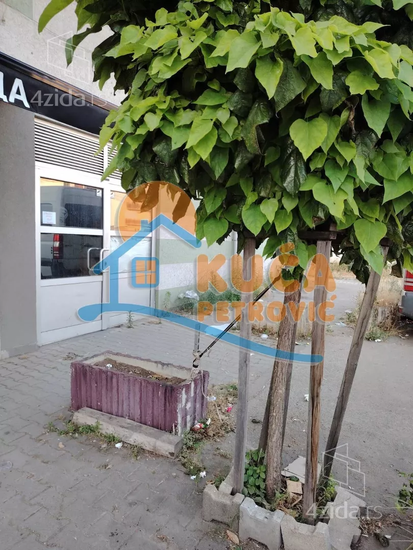 Lokal | 4zida