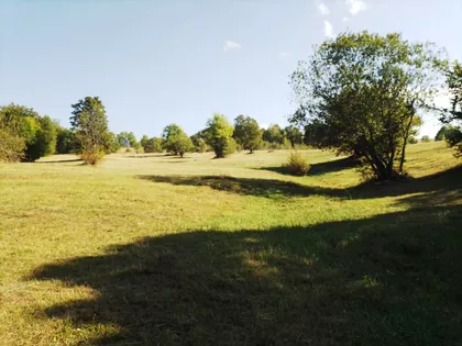 Zova | 4zida.rs