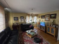 Telep, Gradske lokacije, Novi Sad | 4zida.rs