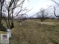 Poljoprivredno zemljište | 4zida