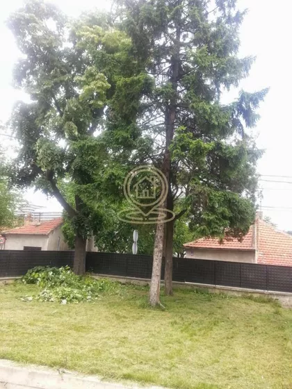 Dedinje | 4zida.rs