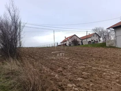 Jaroslava Černog | 4zida.rs