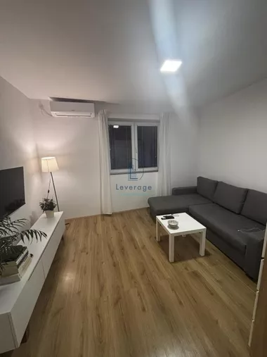 Vase Stajića