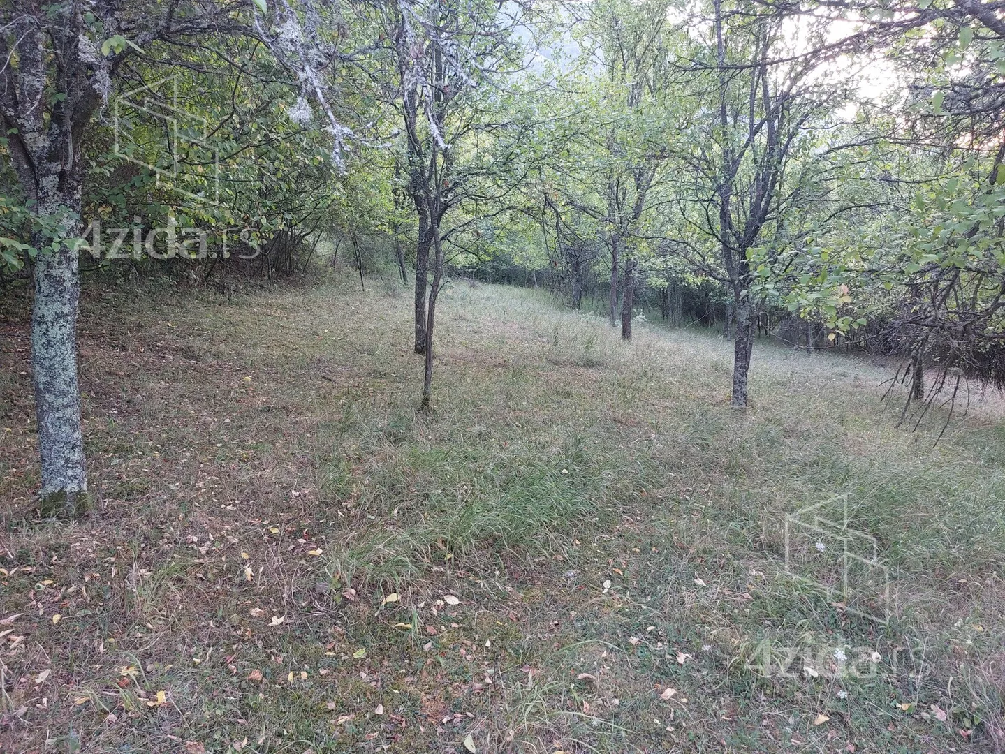 Poljoprivredno zemljište | 4zida