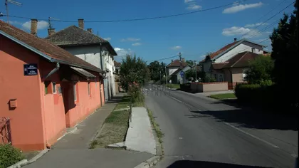 Dejana Smiljkovića | 4zida.rs