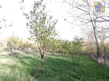 Donje Štiplje | 4zida.rs