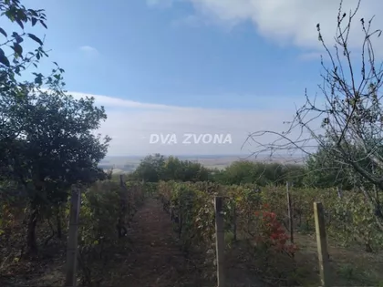 Novi Slankamen | 4zida.rs