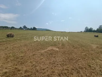Kosmajska | 4zida.rs