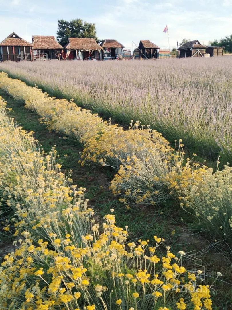 Poljoprivredno zemljište | 4zida