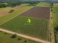 Vinik, Pantelej, Gradske lokacije, Niš | 4zida.rs