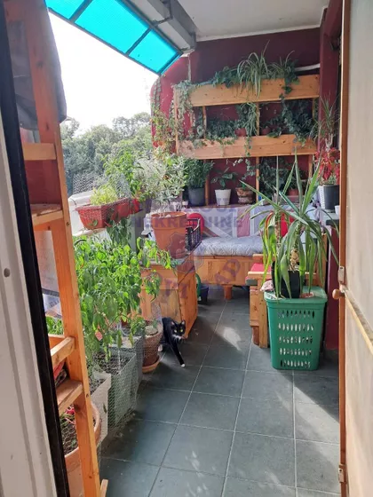 Fruškogorska | 4zida.rs