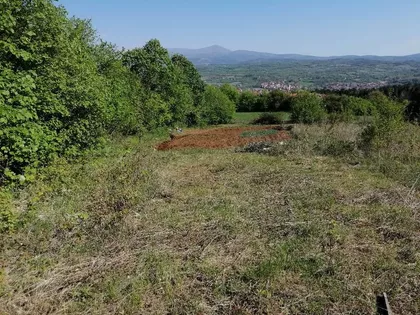 Vojvode Misica | 4zida.rs