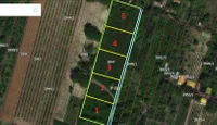Slankamenački Vinogradi, Okolne lokacije, Inđija | 4zida.rs | 4zida.rs