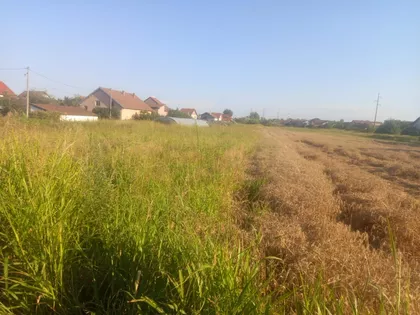 Azanjska | 4zida.rs