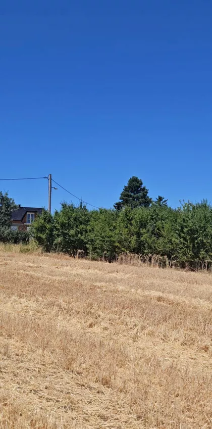 Vrdnik | 4zida.rs