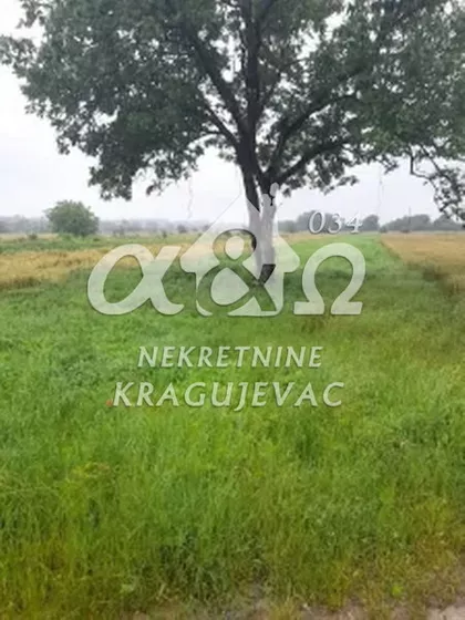 Korman | 4zida.rs