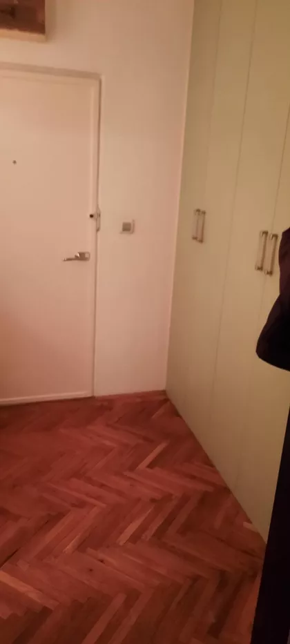 Janka Veselinovića | 4zida.rs