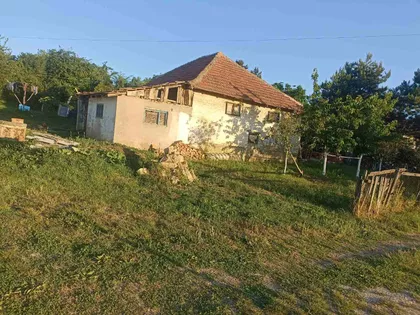 Ustanička | 4zida.rs