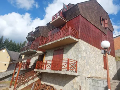 Profesora Aleksandra Nikolića | 4zida.rs