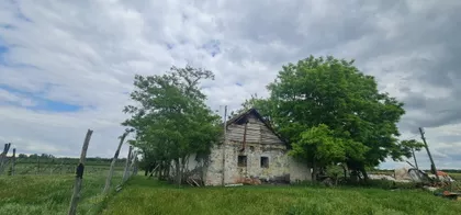 Salaš sa vinogradom i jezerom | 4zida.rs