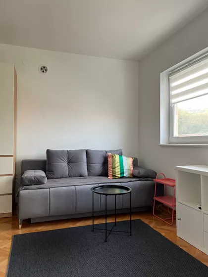 Dragoslava Srejovića | 4zida.rs