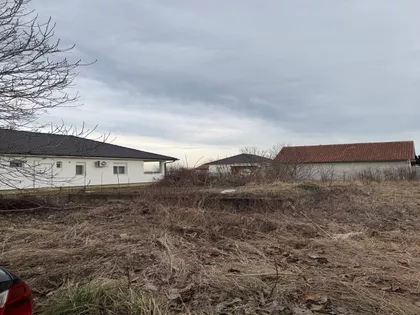 Duška Trifunovića | 4zida.rs