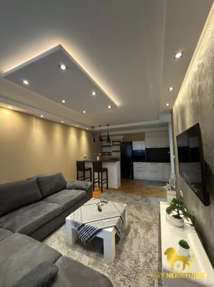 DR SVETISLAVA KASAPINOVIĆA | 4zida.rs