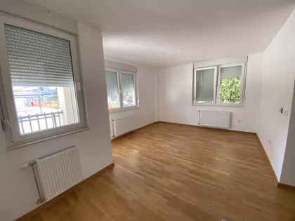 Južni Telep | 4zida.rs