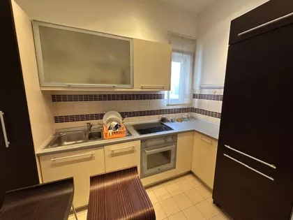 Vojvode Šupljikca | 4zida.rs