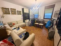 Novo Naselje, Gradske lokacije, Novi Sad | 4zida.rs | 4zida.rs