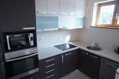 DEDINJE BELI DVOR | 4zida.rs