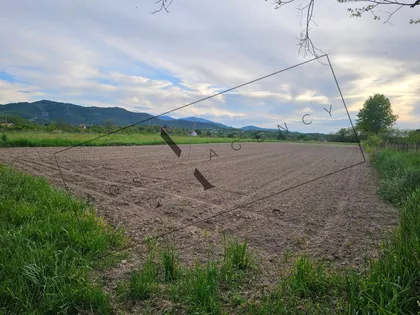 Ratina | 4zida.rs
