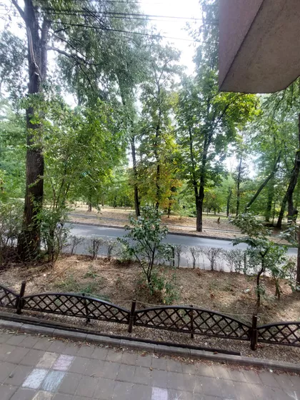 Lekino Brdo | 4zida.rs